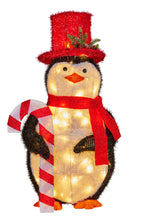Load image into Gallery viewer, Penguin LED Lights