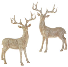 Load image into Gallery viewer, Standing Deer Set
