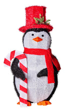 Load image into Gallery viewer, Penguin LED Lights