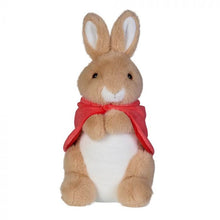 Load image into Gallery viewer, Flopsy Bunny
