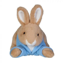 Load image into Gallery viewer, Peter Rabbit Lying
