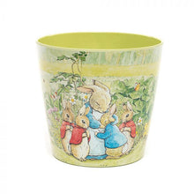 Load image into Gallery viewer, Peter Rabbit Eco Pots
