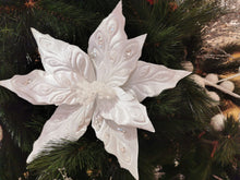 Load image into Gallery viewer, White Poinsettia
